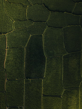 aerial view, green rice plantations, lush green fields, patchwork pattern, agricultural fields, nature's beauty, stunning view, green plantations, aerial photography, rice fields, green landscape