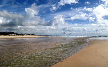 beach, coast, water, ocean, sea, horizon, clouds, sand, calm, nature, outdoors