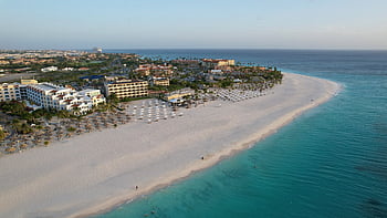 costiero, paesaggio, natura, riva, oceano, mare, acqua, viaggio, copia spazio, estate, fuco