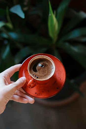 kahve tutan kadın, kırmızı kahve fincanı, rahat iç mekan atmosferi, saksı bitkisi, bardak tutan el, bitkinin üstünde kahve, Kapalı Kahve Sahnesi, hassas el, kahve fincanı yakın çekim, rahat atmosfer, kırmızı seramik bardak