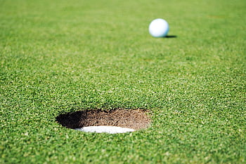 golf, golfboll, golf grön, golfbana, golfhål, Spelar golf, spela golf, golfspel, sport, sporta, utomhus