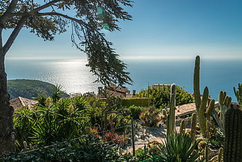 france, landscape, sea, garden, nature, europe, path, travel