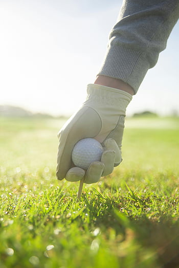 golfbold, tee, grønt græs, Handsket hånd, solrige felt, sportsentusiaster, golfhandske, udendørs aktivitet, golfbane, golf udstyr, golf