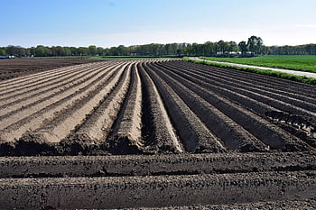 Feld, Dorf, Landwirtschaft, Spargel, Grat, Muster, Frühling, Himmel, Landschaft