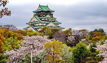 cherry Blossoms, japan, osaka, flowering Season, pagoda, nature, sakura Trees, architecture, japanese Architecture, japanese Garden, pink