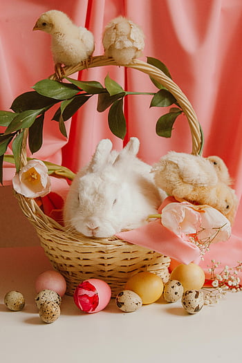 white rabbit, brown wicker basket, chicks, colorful Easter decorations, Easter eggs, tulips, spring, cute animals, festive, adorable, Easter scene
