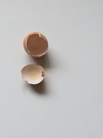 barna tojáshéj, fehér felület, felülről lefelé nézet, törött tojáshéj, minimalista háttér, Élelmiszer -koncepciók, főzési koncepciók, tojástöredékek, tojáshéj, fehér hátteret, minimalista design