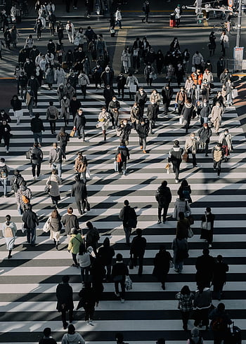 Luftaufnahme, Menge, Zebrastreifen, Stadt, Shinjuku Stadt, Tokyo, Japan, Straßenkreuzung, städtische Szene, geschäftige Kreuzung, Fußgänger