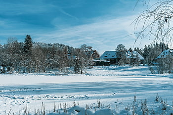 innsjø, hårlokk, hytte, bygning, skog, vinter, frossen, snowy, landsby, vinterlig, kald