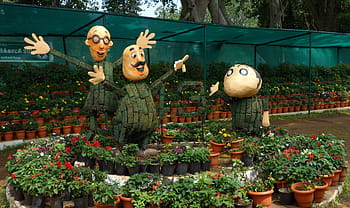 anna park, yercaud, tamilnadu, Indie, zahradní sochy, květináče, Botanická zahrada, horská stanice, turistická atrakce, Venkovní displej, Nastavení přírody