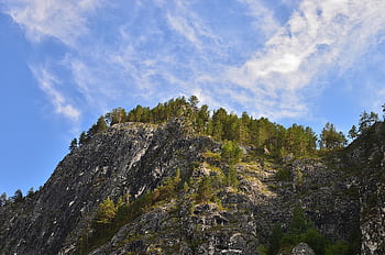 mountain, nature, outdoors, landscape, river, russia, tourism, travel, siberia, tree, water
