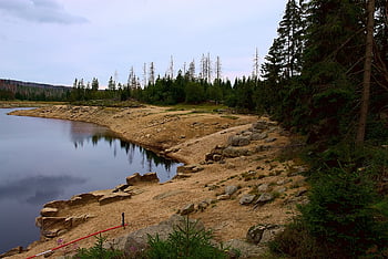 lake, forest, trees, nature, resin, dam, pond, reservoir