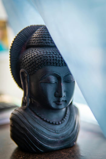 Testa di Buddha grigia, scultura di buddha, Buddha tranquillo, luce blu, pace, avvicinamento, statua, serenità, spirituale, meditativo, arte