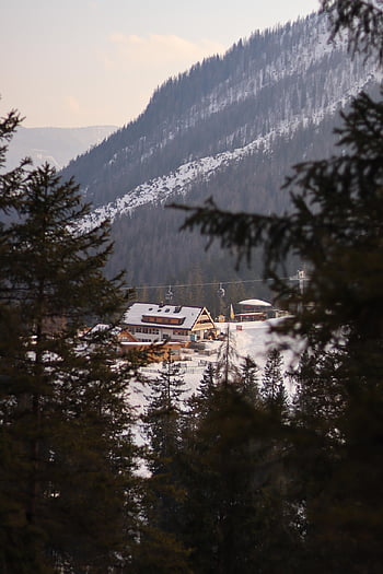 restaurant, ski Area, snow, ski Gondola, hochimst, tyrol, austria, winter, nature, skiing, tourism