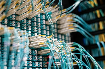 cables de fibra óptica, panel de parcheo, centro de datos, cables de red, Vista detallada, cables conectados, cables de conexión, Cuarto de servicio, infraestructura de red, mantenimiento de cable, conexiones de fibra