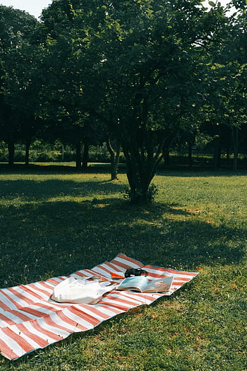 coperta a strisce, prato, parco, scena tranquilla, rilassamento, libro, sotto l'albero, picnic, all'aperto, natura, erba