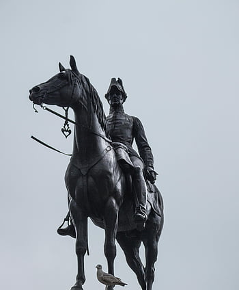 jezdecká socha, muž jezdecký kůň, Historické umění, zatažená obloha, Dramatická socha, venkovní socha, bronzová socha, veřejné umění, socha koně, umění sochařství, jezdecké umění