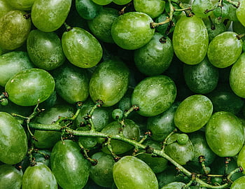 green grapes, fresh grapes, green fruit, grape cluster, healthy food, green produce, grapevine, organic grapes, grape bunch, green grape variety, grape texture