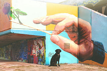 svart hund, kortbelagt hund, vegg kunst, fargerikt veggmaleri, hånd og rose, Praha Street Art, urbane kunst, svart labrador, graffiti, gatemuren, Hund i nærheten av veggmaleri