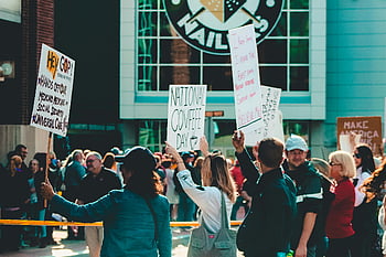 protest, crowd, holding signs, political messages, outdoor demonstration, vibrant scene, advocacy, public gathering, social issues, activism, street protest