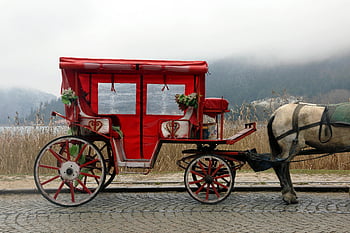 red vintage carriage, horse carriage, foggy outdoor setting, nostalgic scene, red carriage, horse-drawn carriage, vintage transportation, outdoor carriage, red and white carriage, foggy landscape, nostalgic carriage