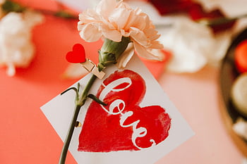 garofano rosa, carta d'amore, cuore rosso, San Valentino, Regalo romantico, fiore con carta, messaggio d'amore, carta a forma di cuore, fiore romantico, Decorazione di San Valentino, regalo a tema amore