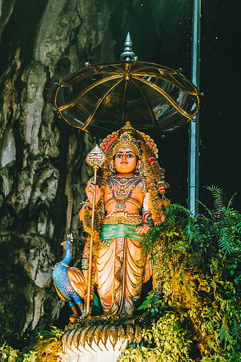 Batu jeskyně, Gombak, kuala lumpur, Hindská spiritualita, barevná socha, náboženská postava, Hindské umění, jeskynní chrám, Socha páva, zlatý deštník, duchovní umění