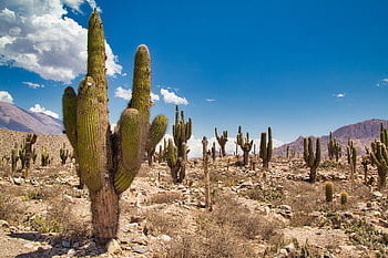 Argentina, humahuaca, jujuy, hora, purmamarca, krajina, Příroda, nebe, kaňon, Barvit, panoráma