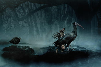 fantasy, woman, bird, mystical, fog, water, landscape, forest, avatar, character, digital Art