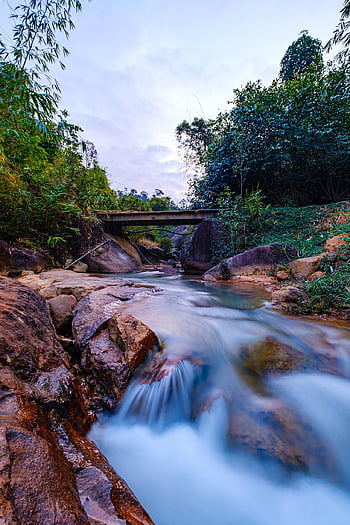 stroom, rotsen, Bos, brug, water, cascade, kreek, rivier-, bomen, toneel-, natuur