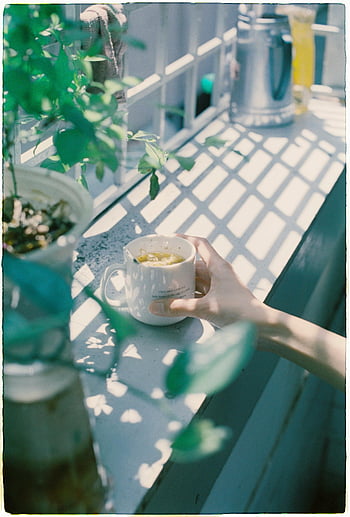 woman holding cup, green potted plant, sunny balcony, spring morning, cup of tea, sunlit garden terrace, freshness, relaxation, outdoor setting, natural light, peaceful atmosphere