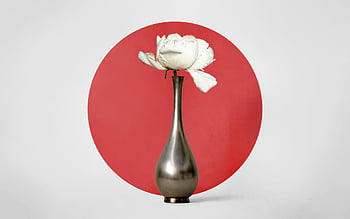 pion, hd Wallpaper, mac Wallpaper, wallpaper Hd, flower Background, flower, vase, full Hd Wallpaper, beautiful Flowers, japanese Flag, flower Wallpaper