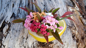 mini Floral Centerpiece, fruit, lemon, citrus, yellow