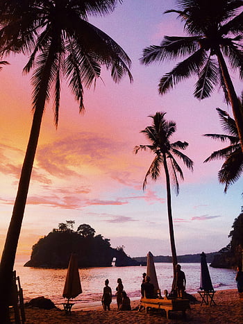tropická pláž, růžový západ slunce, bali slunce, siluetované palmy, lidé na pláži, tropický ráj, plážová blaženost, fotografování západu slunce, pláž západ slunce, bali beach, tropické slunce