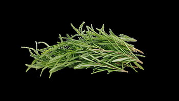 rosemary, herb, honey, spice, food, fresh, green, cooking, ingredient, plant, fragrant