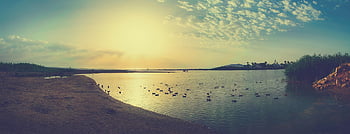 laguna, sea, ducks, sky, nature, clouds