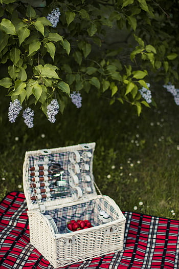 white wicker basket, outdoor picnic, sunny day, charming setup, picnic basket, wicker picnic basket, outdoor wicker basket, picnic setup, sunny picnic, plaid picnic blanket, lilac flowers