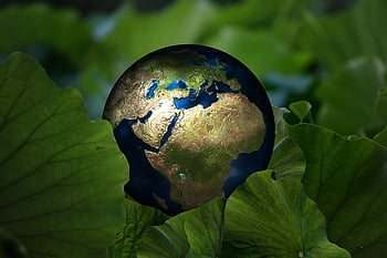 Erde, Welt, Blätter, Lotus, Pflanze, Umgebung, Umweltschutz, Ökologie, Globalisierung, global, International