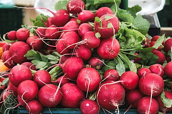 ředkev, trh, stání na trhu, místní zemědělci, zelenina, jídlo, zdravý, čerstvý, vitamíny, Červené, zahrada