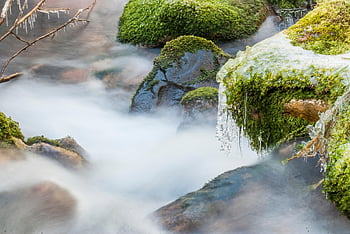 nature, fog, exploration, outdoors, travel, río, invierno, hielo, muniellos, asturias, piedras