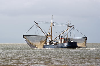 fishermen-boat-nature-sea-ocean-horizon-seascape-fishing-fishing-boat-water-thumbnail.jpg