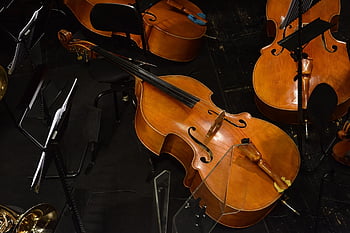 operní, hudba, housle, orchestr, symfonie, hudebník, nástroj, kontrabas, Hnědá hudba