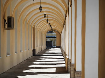 bílá betonová budova, černá závěsná lampa, řadová lampa, bílá budova, černá lampa, závěsné světlo, betonová konstrukce, bílé stěny, interiér budovy, architektonický design, osvětlení chodby