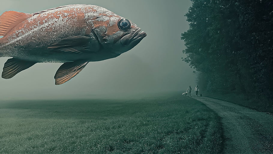 surrealista, pez, photomontage, photoshop, mystical, surreal, fotomontaje