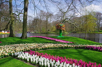 keukenhof, Holandsko, tulipán, tulipány, jaro, holandský, zahrada, květiny, Nizozemí, rostlina, květ