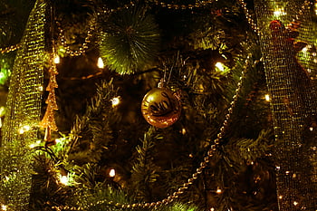 kerstboom, gouden sieraad, ondiepe fotografie, vakantiesfeer, glinsterend goud, hou van ornament, kerst decor, Warme vakantie, kerstlichten, feestelijke decoratie, Gold Love Ornament