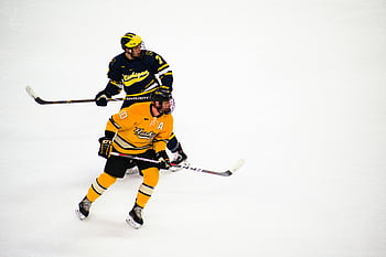 Ishockey, spillere, rink, handling, ferdighet, teamarbeid, mann, hockey pinner, uniform, konkurranse, sport