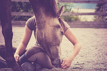 horse, foal, nature, girl, yearling, pony, animal, mammal, equine