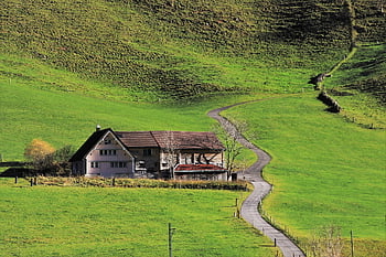 starý dům, cesta, Příroda, hora, pole, alpské vesnice, švýcarsko, Dům, země, stezka, venkovských oblastí