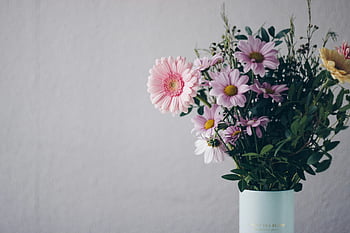 rózsaszín virágok, fehér váza, rózsaszín Gerbera százszorszépek, lenyűgöző csokor, elegáns váza, puha háttér, virágos elrendezés, rózsaszín margaréták, virág elrendezés, váza virágok, rózsaszín csokor